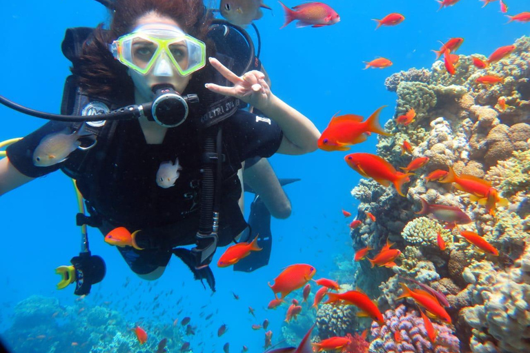 Sharm: Ras Mohamed & White Island Snorkeling, Diving & Lunch Option: Snorkeling with 1 Dive