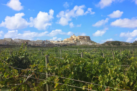 Visite à pied de Gozo Victoria