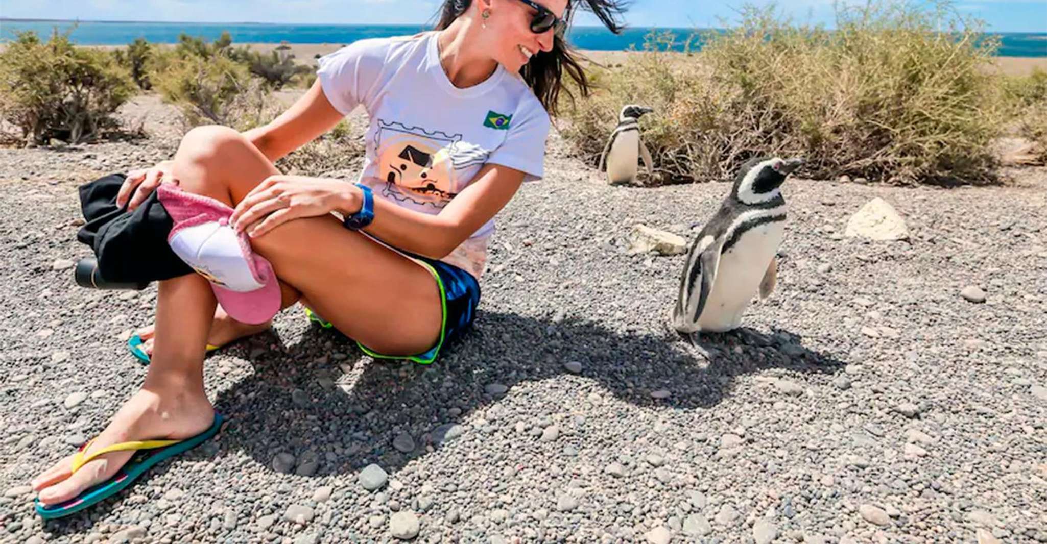 Von Puerto Madryn, Punta Tombo Tagesausflug mit Hoteltransfer - Hizvo