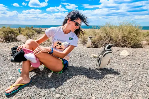 From Puerto Madryn: Punta Tombo Day Trip with Hotel Transfer