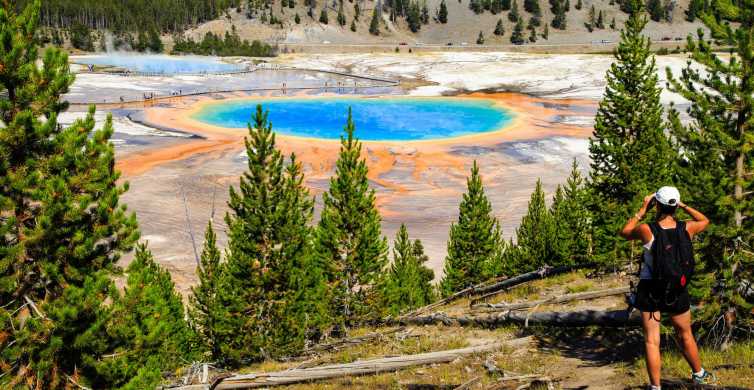 7 Day Yellowstone National Park Rocky Mountain Explorer GetYourGuide