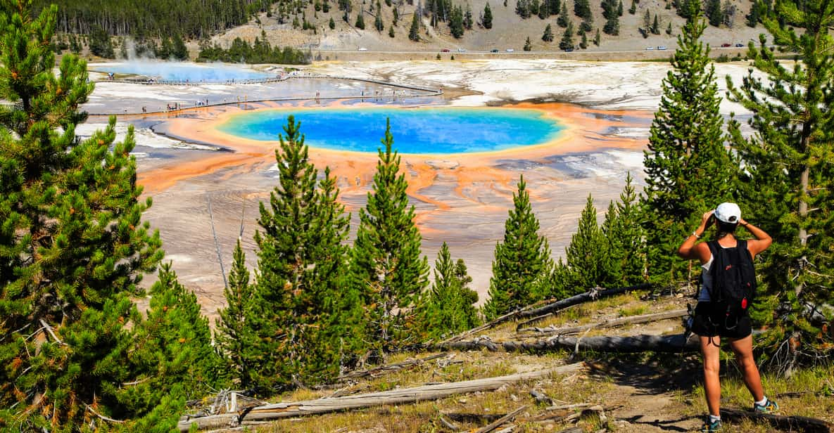 7dagers tur til Yellowstone nasjonalpark og Rocky Mountains GetYourGuide