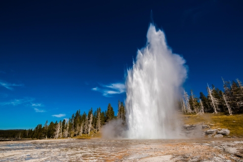 7-daagse Yellowstone National Park Rocky Mountain ExplorerGedeelde Yellowstone Rocky Mountain Explorer Tour