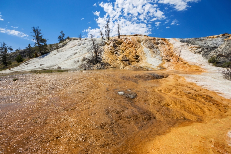 Yellowstone-Nationalpark & Rocky Mountains: 7-Tages-TourPrivate Yellowstone-Rocky-Mountain-Explorer-Tour
