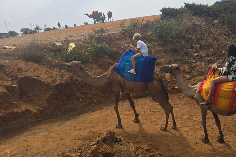 Tour particular em Tânger: Exploração e aventura em um passeio de camelo