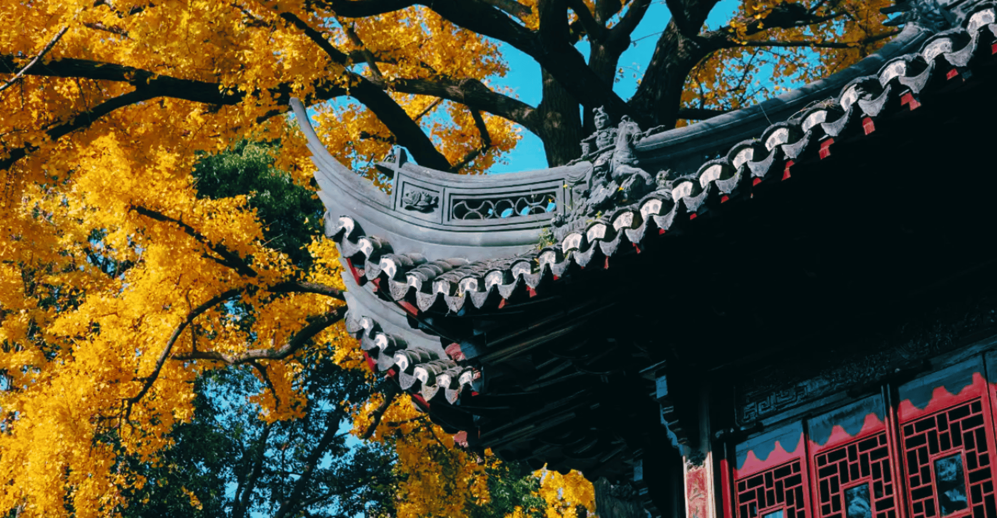 Shanghai: Yu Garden Admission Ticket photo 7