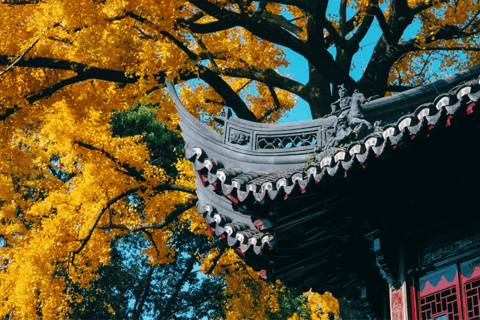 Shanghai: Yu Garden biljett för inträde