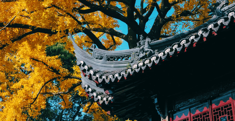 Shanghai: Yu Garden Admission Ticket photo 7