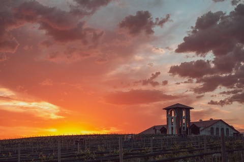 Sasunik: Van Ardi Winery Tour, Tasting & Dining Experience