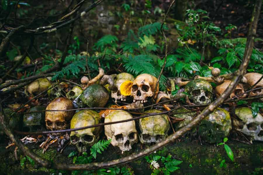 Bali/Batur: Mystische & Bestattungsrituale Tour mit Kehen-Tempel. Foto: GetYourGuide Bali/Batur: Mystische & Bestattungsrituale Tour mit Kehen-Tempel. Foto: GetYourGuide