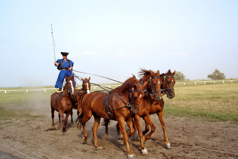 Excursión de día completo a Puszta desde Budapest con almuerzo