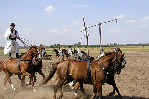 Excursión de día completo a Puszta desde Budapest con almuerzo