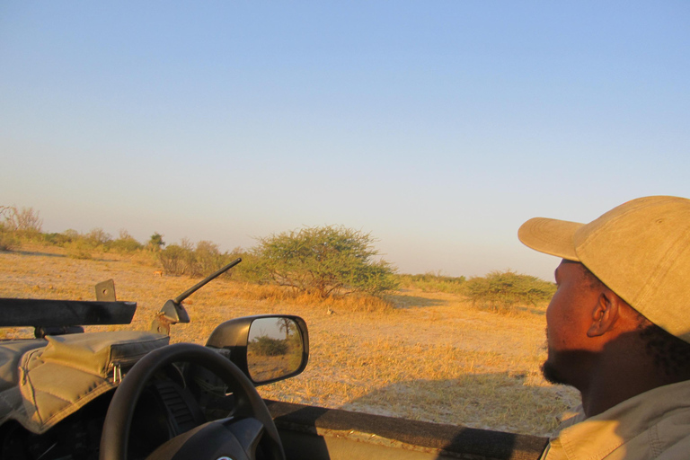 7 Días - Savuti - Khwai - Moremi (Safari móvil)