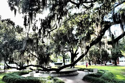 Savannah Urban Adventure Quest Scavenger Hunt