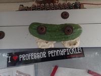 Adventure de chasse au trésor de Temecula incroyable - Housity