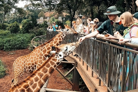 Karen Blixen Museum And Giraffe Center From Nairobi Tour