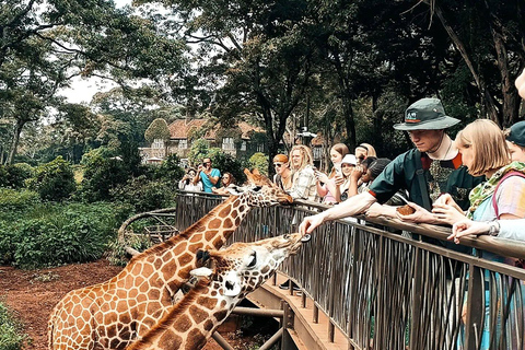 Nairobi: Giraffe Center, Elephant Orphanage, and Beads Tour