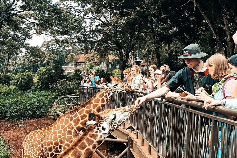 Giraffe Center, Elephant Orphanage And Bomas Of Kenya Visit