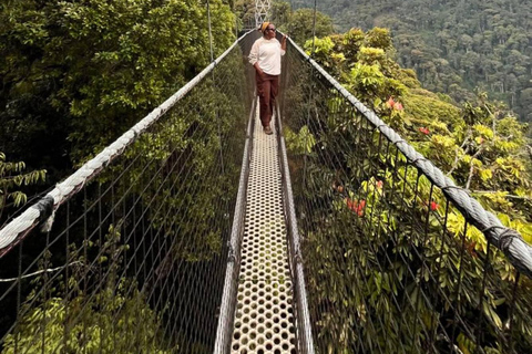 Kigali: 2-Day Nyungwe Rainforest Adventure with Zipline