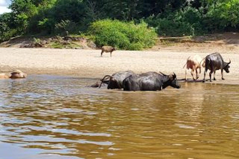 Luang Prabang: 3 Days Ethnic Forest Living - Mekong