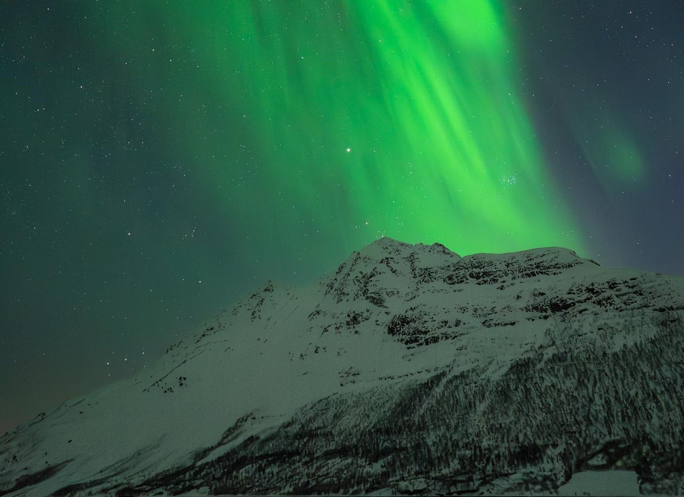 Tromsø: Nordlys i minibus med gratis fotos og et varmt måltid