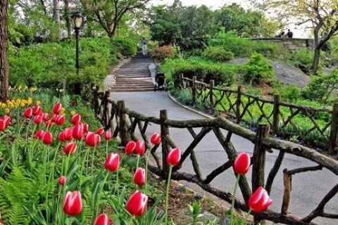 New York : visite de Central Park en pousse-pousseVisite de Central Park en pousse-pousse