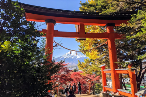 Tokio: Instagram-würdige Tagestour zum Berg Fuji und zum Kawaguchiko-See