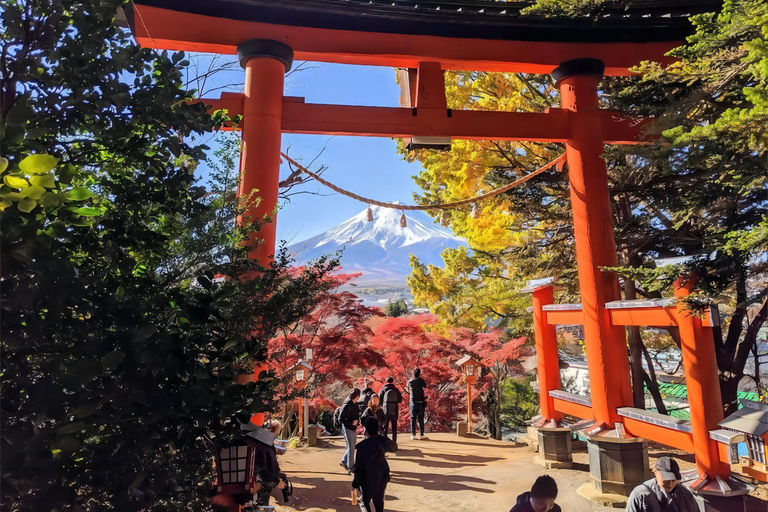 Tokyo : Excursion d&#039;une journée au Mont Fuji et au lac Kawaguchiko digne d&#039;Instagram