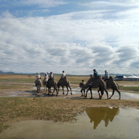 Visit Combination of Mini Gobi Desert and Khangai tour in Central Mongolia