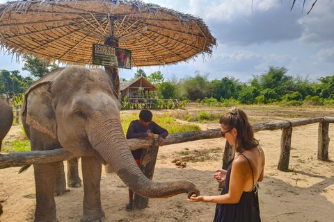 Cambodia Elephant Sanctuary, Pickup and drop off included