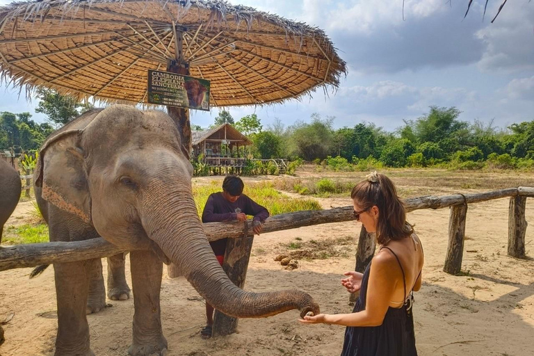 Cambodia Elephant Sanctuary, Pickup and drop off included