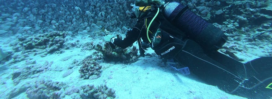 Plongée sous-marine à Mirissa