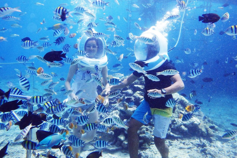 Sansibar: Sea Walk Adventure und Tour zum MeeresschildkrötenschutzgebietPrivate Tour mit Abholung vom Hotel und allen Gebühren inklusive