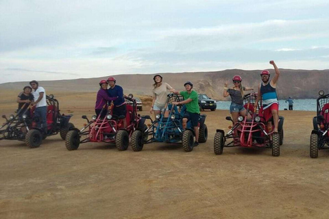 Expédition hors route dans la réserve de Paracas - Buggy ou Quad