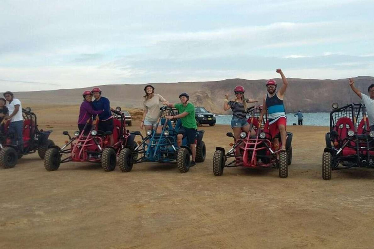 Expédition hors route dans la réserve de Paracas - Buggy ou Quad