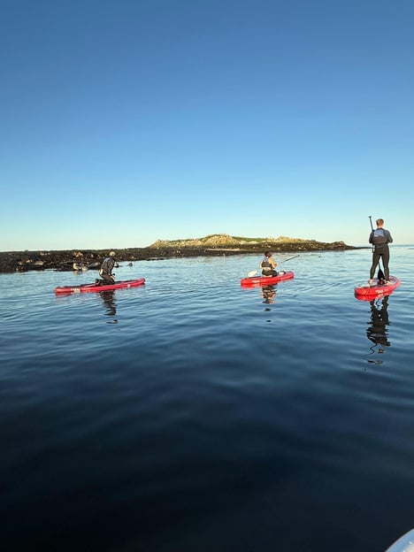 Howth: Paddleboarding-Kurs im Hafen von Howth
