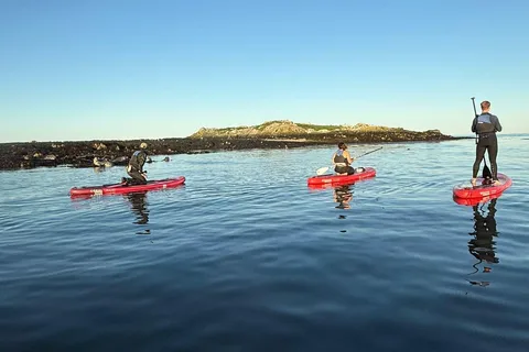 Howth: Paddleboarding Lesson in Howth Harbour