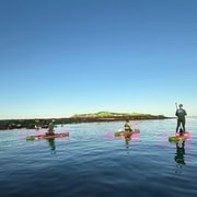 Howth: Paddleboarding Lesson in Howth Harbour