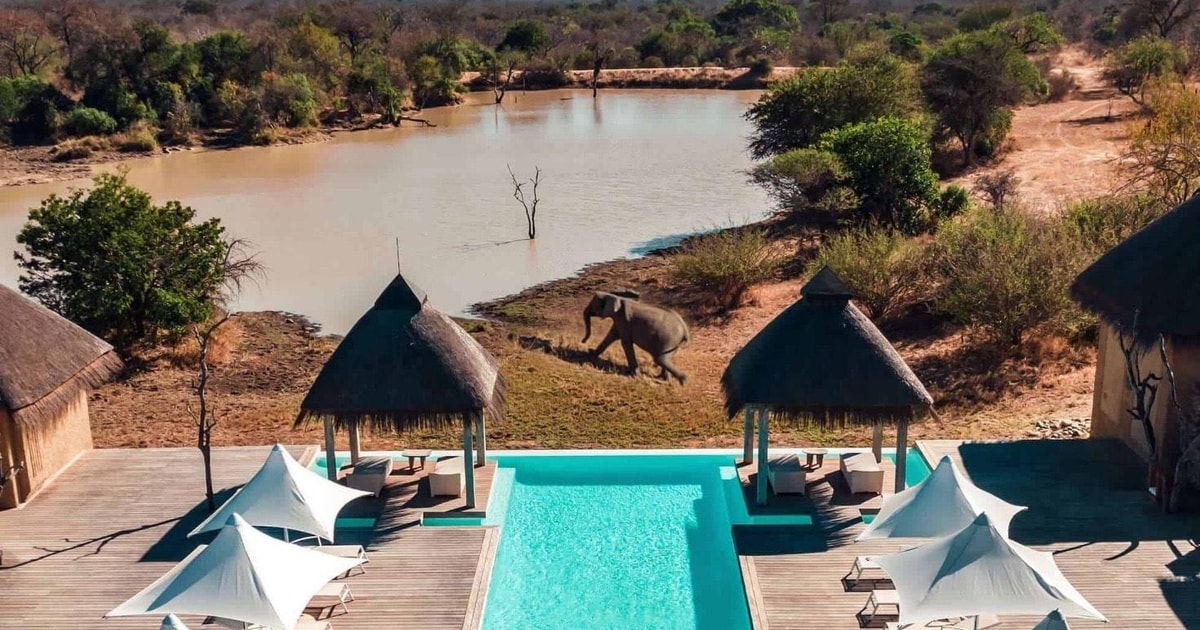 3 Day Kapama safari From Johannesburg | GetYourGuide