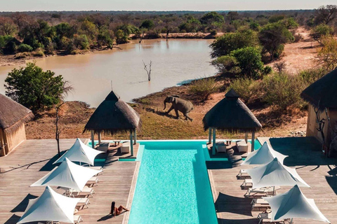 4 Day Kapama Safari from Johannesburg