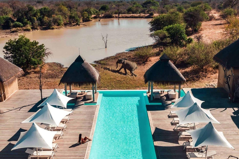 4 Day Kapama Safari from Johannesburg