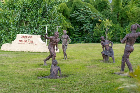 Croydon in the Mountains - Eco Farm Tour with Lunch