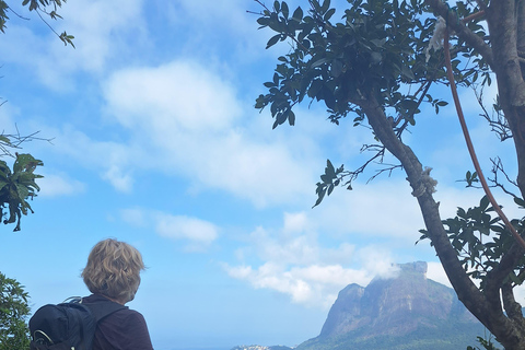 RIO DE JANEIRO:Zwei Brüder wandern und die Favela Vidigal erleben