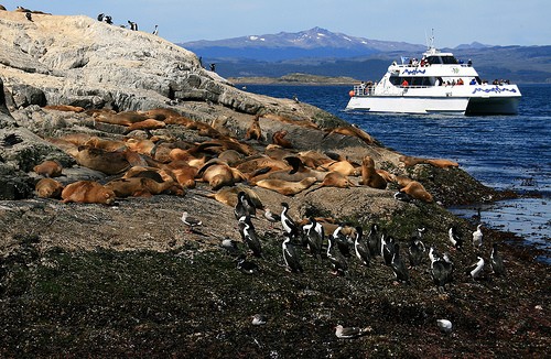 Visit Beagle Channel and Sea Lions Catamaran Tour in Ushuaia
