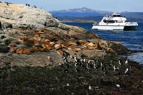 Circuit en catamaran sur le canal de Beagle et les lions de mer