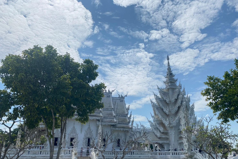 Chiang Rai: 2 Temples (White and Blue) + Black House Museum Meeting Point: Wat Phra Singh (Hotels Outside Pickup Area)
