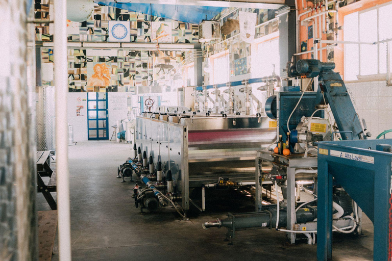 Dégustation de charcuterie et d&#039;huile d&#039;olive et visite près de Pise et Livourneanglais