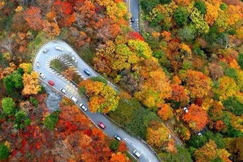 Nikko Private Day Tour From Tokyo Toshogu Shrine Kegon Fall In Luxury Mini Van Nikko Day Trip