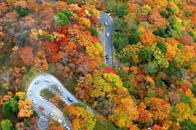 Nikko Private Day Tour From Tokyo Toshogu Shrine Kegon Fall In Luxury Mini Van Nikko Day Trip