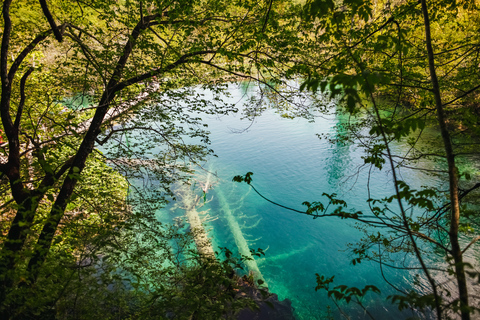 Depuis Split ou Trogir : Visite des lacs de Plitvice avec billets d&#039;entréeDe Split ou Trogir : journée aux lacs de Plitvice